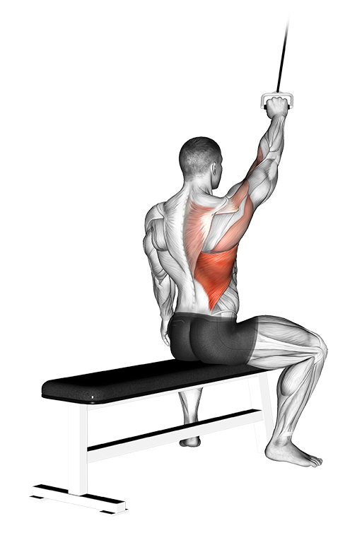 Lat Pulldown - Alternate