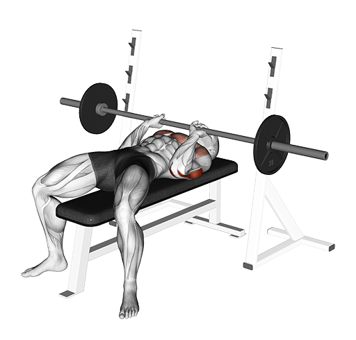 Bench Press - Close Grip (Barbell)