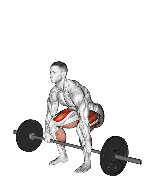 Deadlift (Barbell)