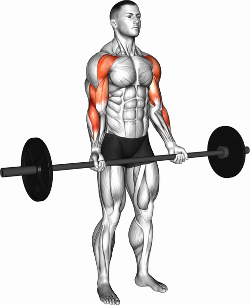 Drag Curl (Barbell)