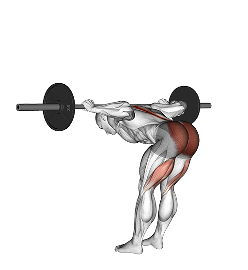Good Morning (Barbell)