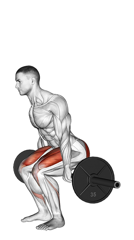 Hack Squat (Barbell)
