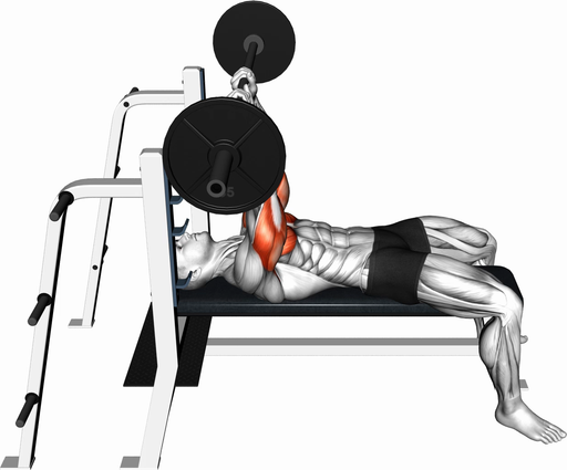 JM Press (Barbell)