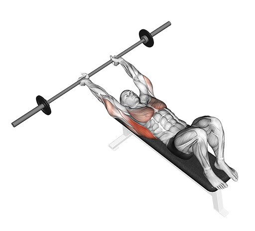 Pullover (Barbell)