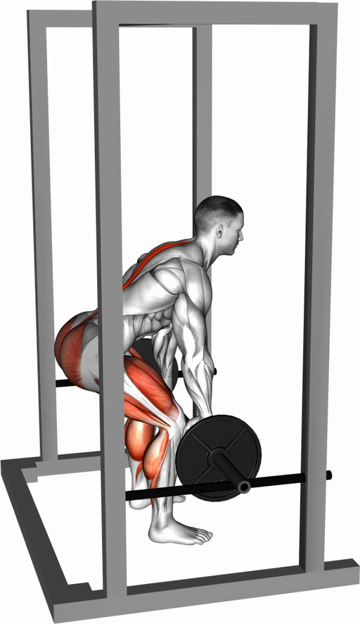 Rack Pull