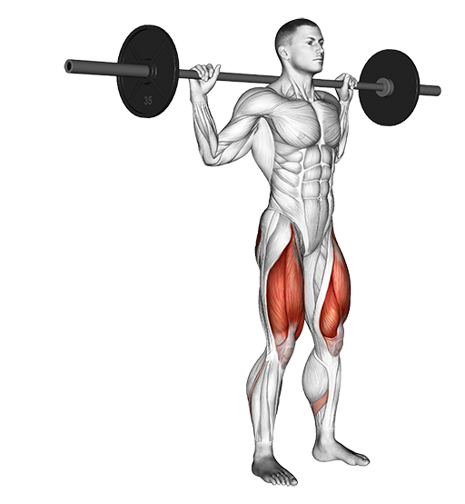 Reverse Lunge (Barbell)