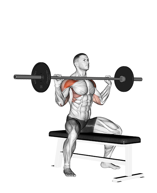 Overhead Press - Seated (Barbell)