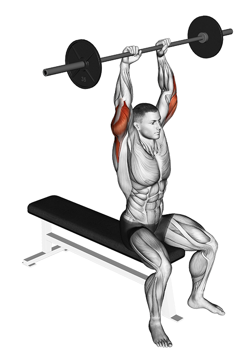 Triceps Extension - Overhead, Seated (Barbell)