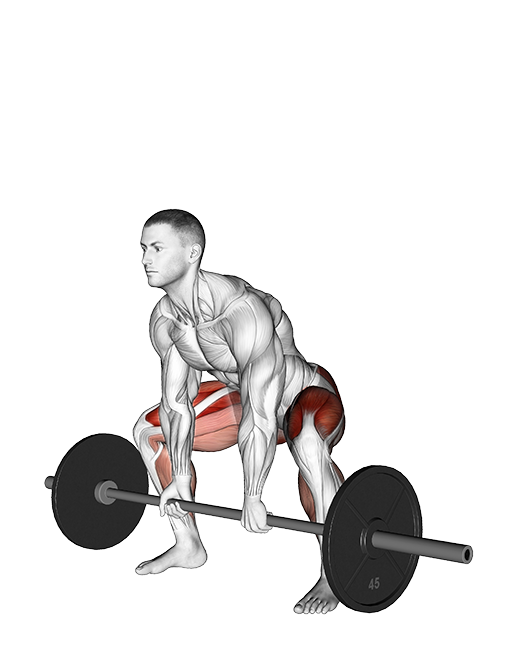 Sumo Deadlift (Barbell)