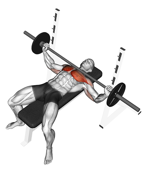 Bench Press - Wide Grip (Barbell)