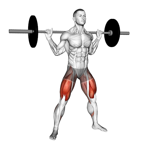 Squat - Wide (Barbell)