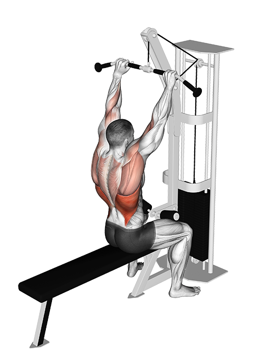 Lat Pulldown (Cable: Bar)