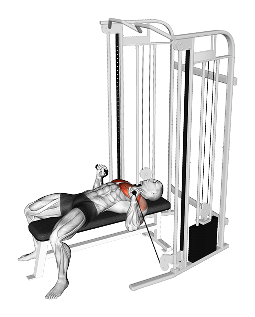 Bench Press (Cable)