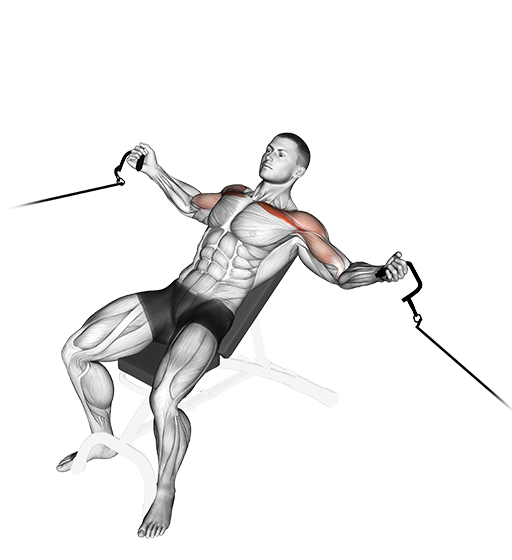 Incline Fly (Cable)