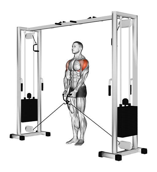 Lateral Raise (Cable)