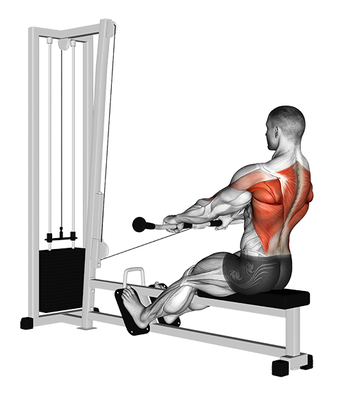 Row - Low, Seated (Cable)