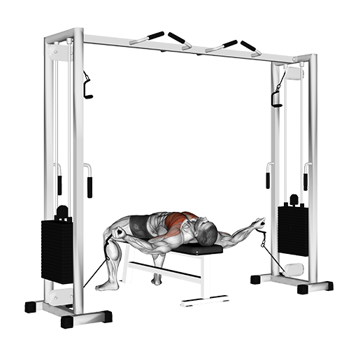 Chest Fly - Lying (Cable)