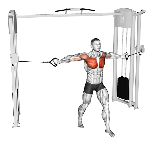 Chest Fly - Middle (Cable)