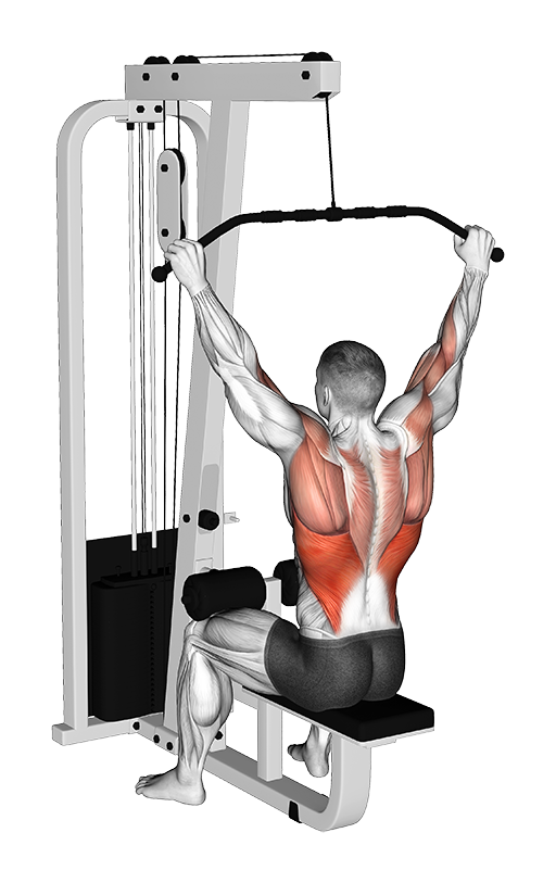Lat Pulldown - Wide Grip (Cable)