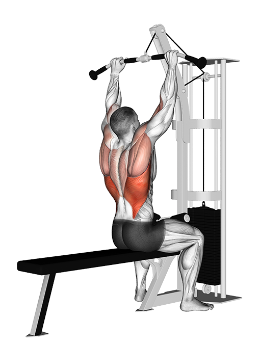 Lat Pulldown (Cable)