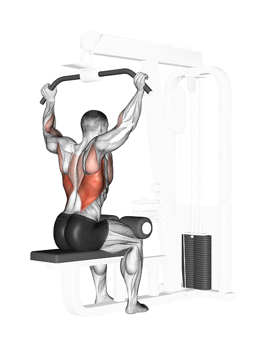 Rear Pulldown (Cable)