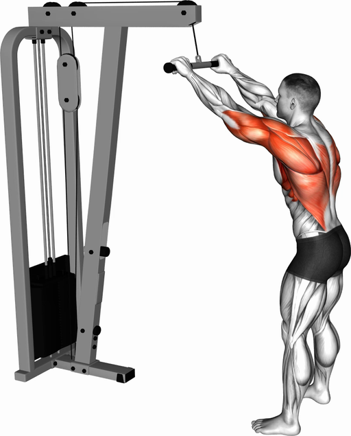 Lat Pulldown - Straight Arm (Cable)