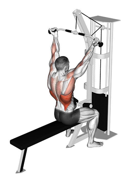 Lat Pulldown - Underhand (Cable)