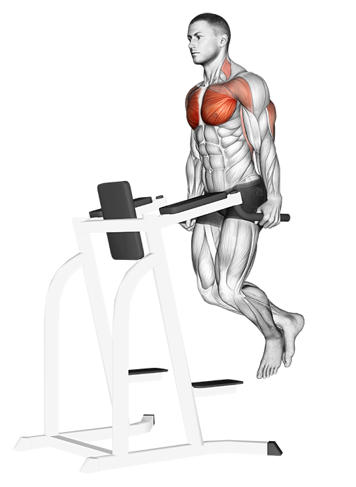 Triceps Dip