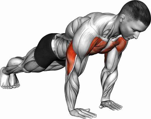 Push Up - Close Grip