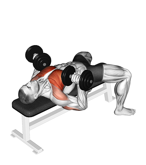 Bench Press (Dumbbell)