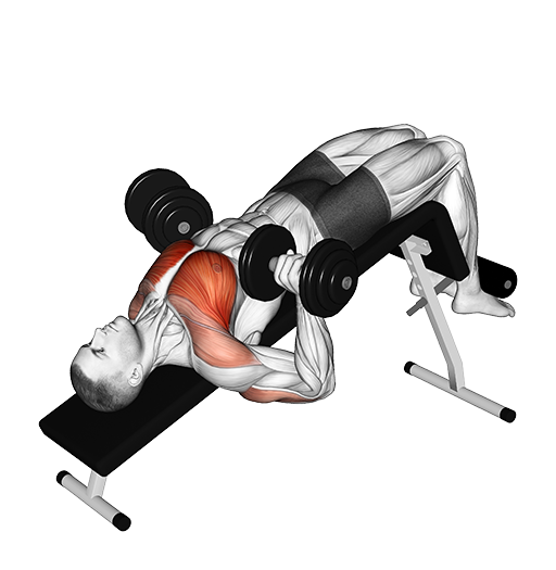 Decline Bench Press (Dumbbell)
