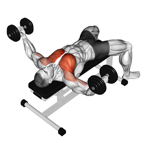 Chest Fly (Dumbbell)
