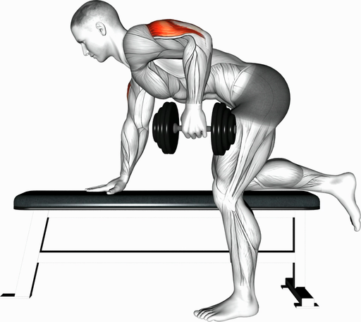 Triceps Kickback (Dumbbell)
