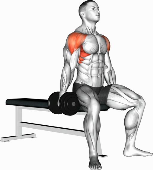 Lateral Raise - Seated (Dumbbell)