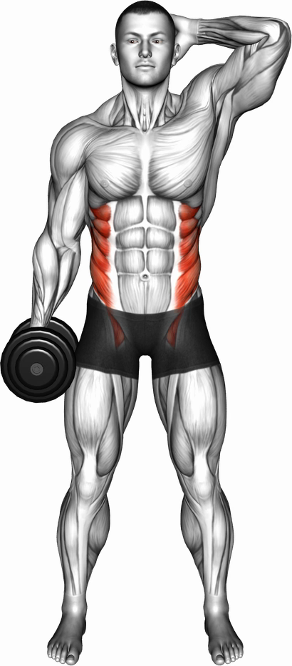 Side Bend (Dumbbell)