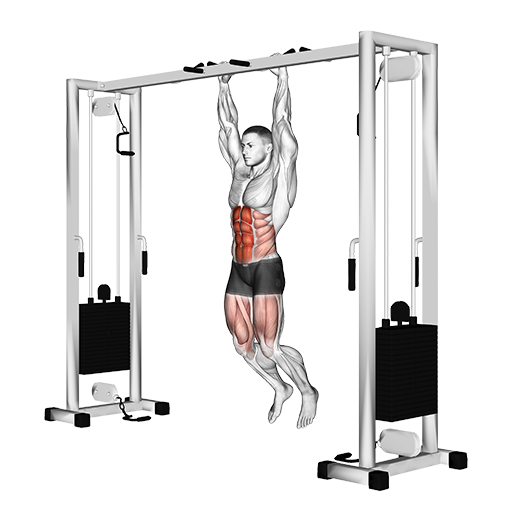 Hanging Straight Leg Hip Raise
