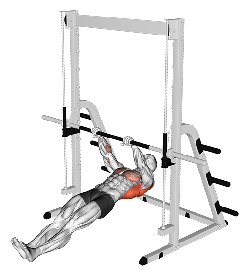Inverted Row