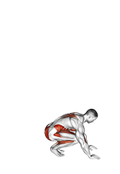 Jack Burpee