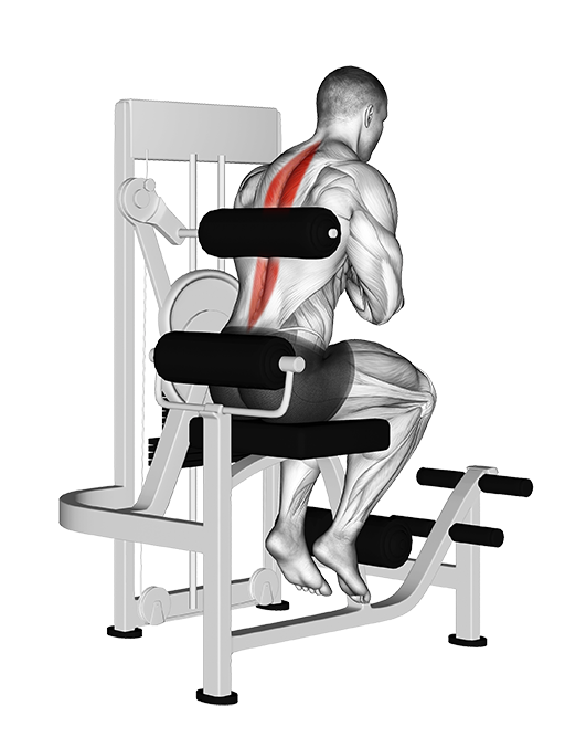 Back Extension (Machine)