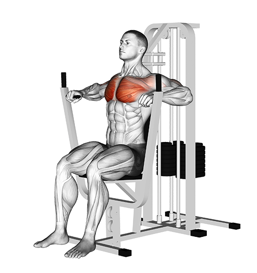 Chest Press (Machine)