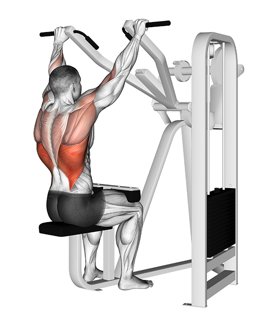 Lat Pulldown (Machine)
