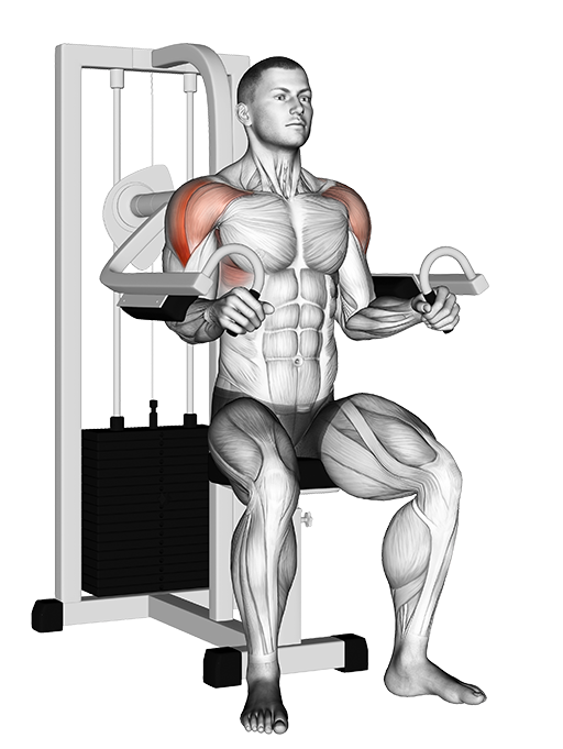 Lateral Raise (Machine)
