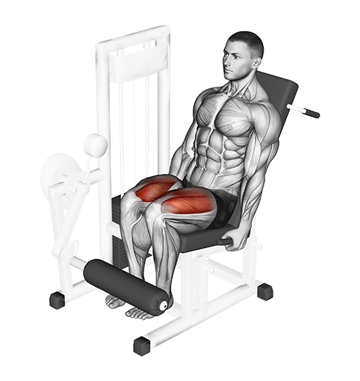 Leg Extension (Machine)