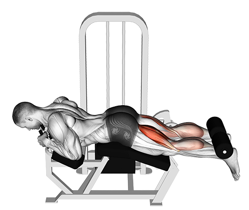 Leg Curl - Lying (Machine)