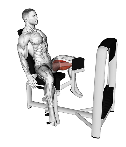 Hip Adduction - Seated (Machine)