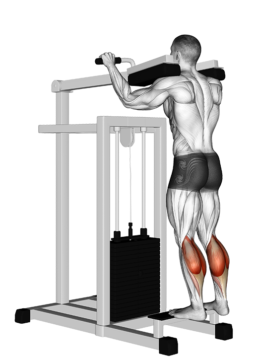 Calf Raise - Standing (Machine)