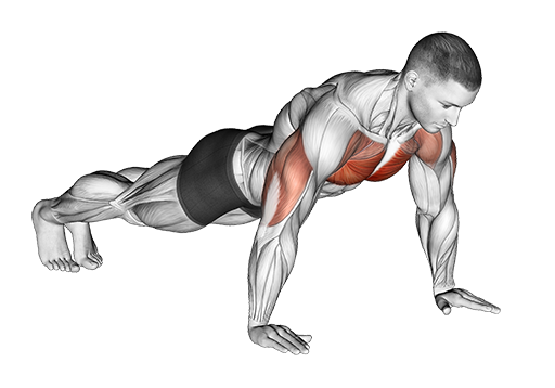 Pushup
