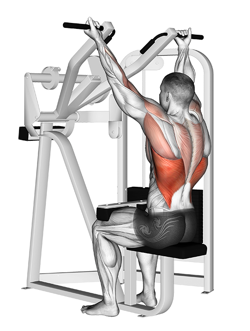Lat Pulldown - Reverse Grip