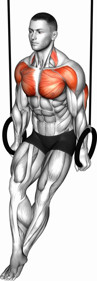 Ring Dips