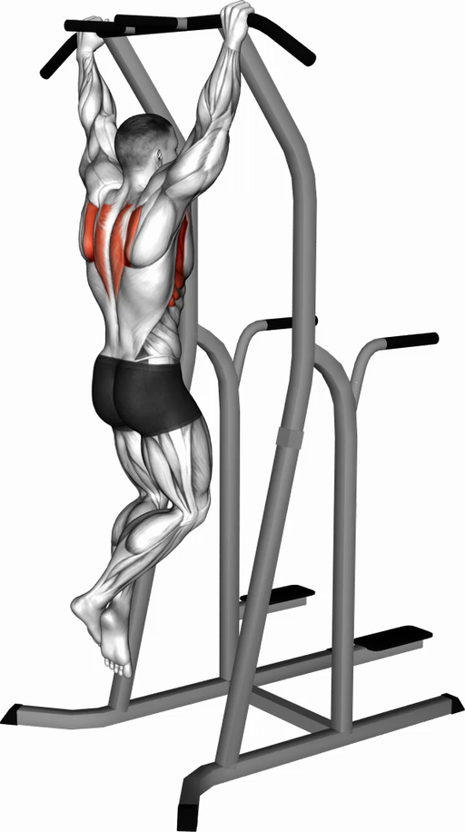 Pull Up - Scapular